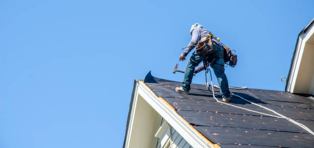 Best Shingle Roofing Installation  in Fort Belknap Agency, MT
